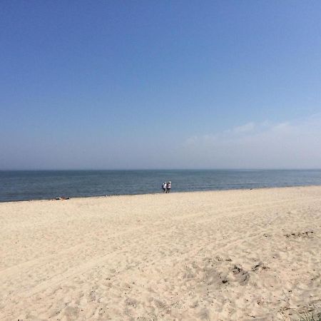 Strandgerste Schillig Luaran gambar